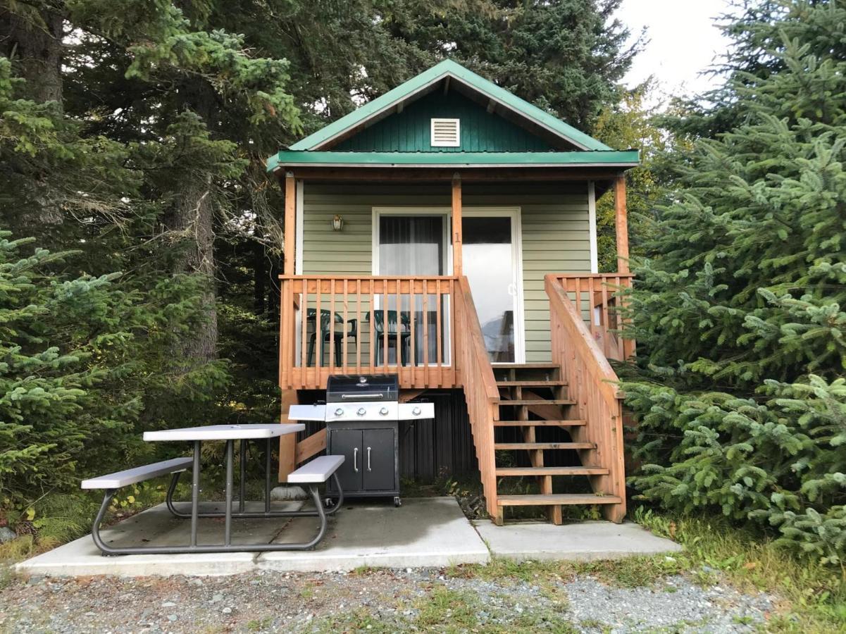 Cabin 3 Lynn View Lodge Haines Exteriör bild