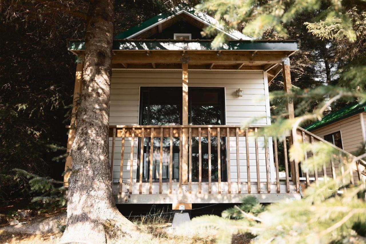 Cabin 3 Lynn View Lodge Haines Exteriör bild